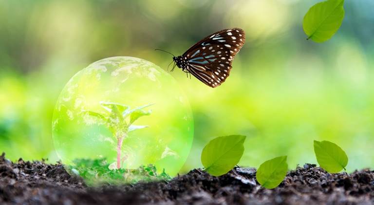 Biodiversiteit.2